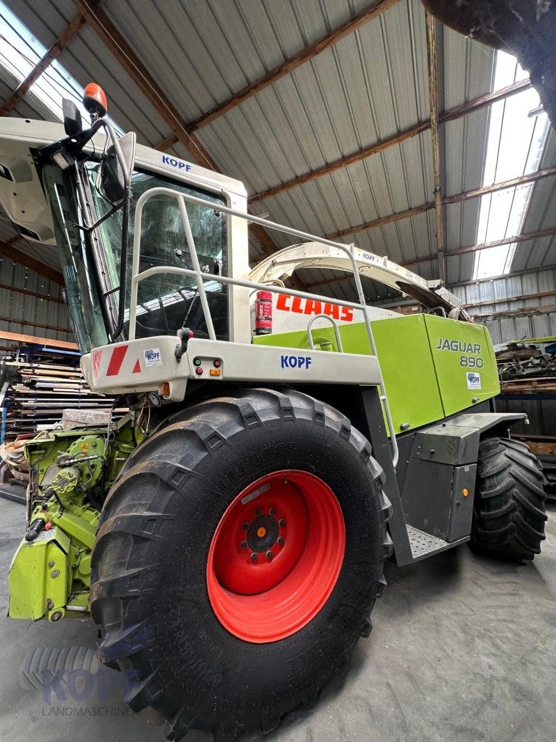 Feldhäcksler des Typs CLAAS Jaguar 890 500 PS, Gebrauchtmaschine in Schutterzell (Bild 7)