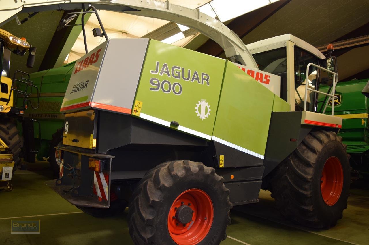 Feldhäcksler typu CLAAS Jaguar 900, Gebrauchtmaschine v Oyten (Obrázek 4)