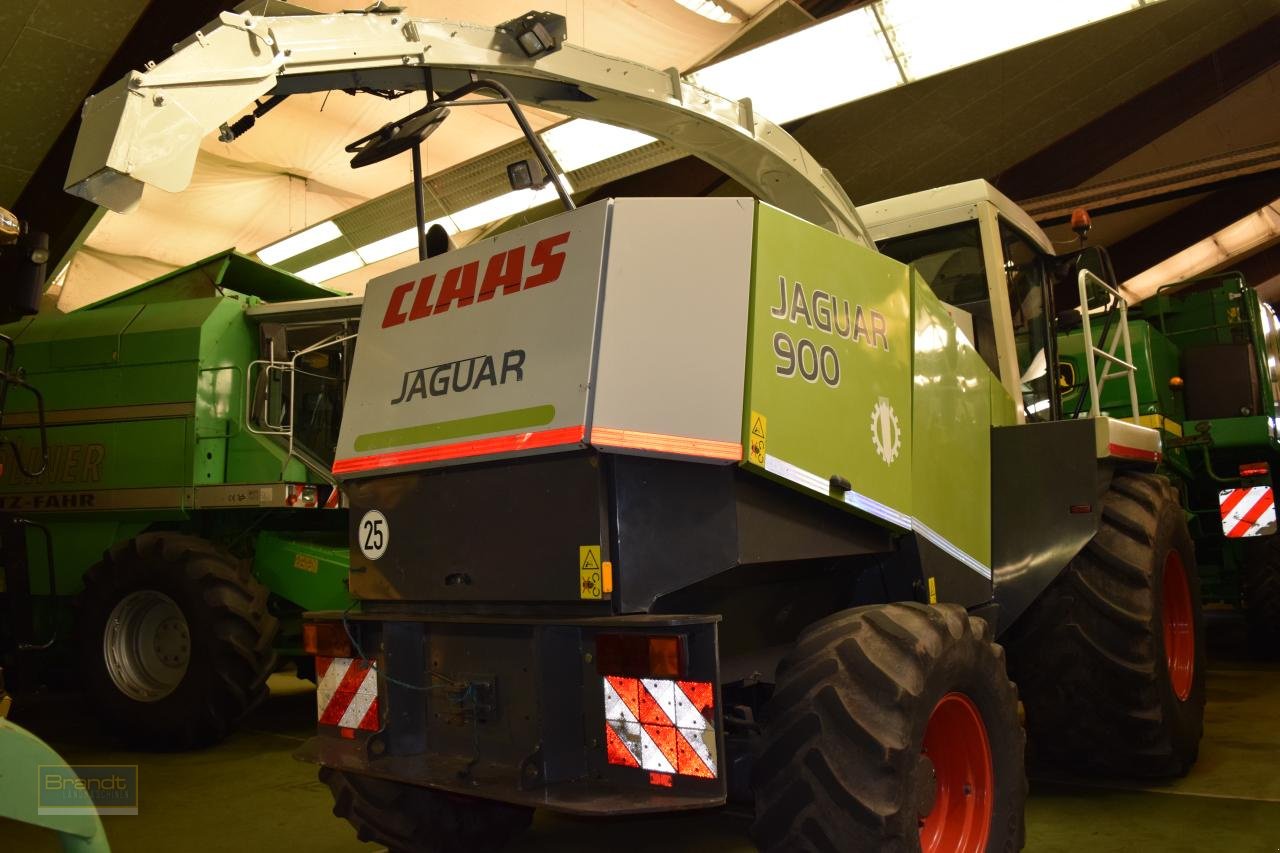 Feldhäcksler typu CLAAS Jaguar 900, Gebrauchtmaschine v Oyten (Obrázek 8)