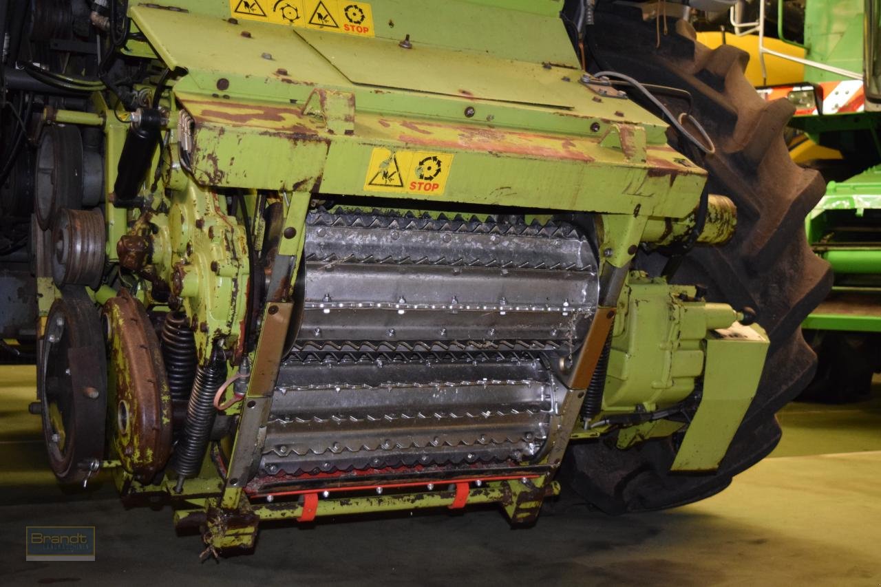 Feldhäcksler typu CLAAS Jaguar 900, Gebrauchtmaschine v Oyten (Obrázek 9)