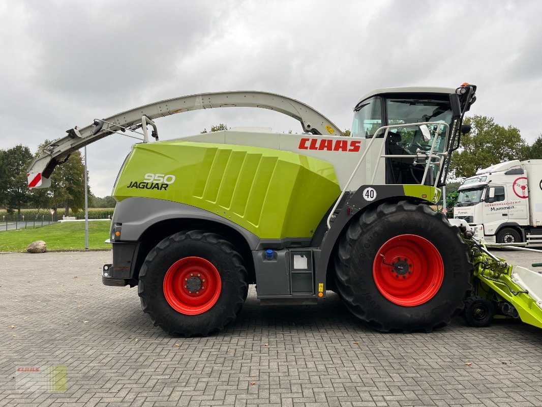 Feldhäcksler des Typs CLAAS JAGUAR 950 (497), ORBIS 750 AC, Allrad 4WD, Gebrauchtmaschine in Molbergen (Bild 7)