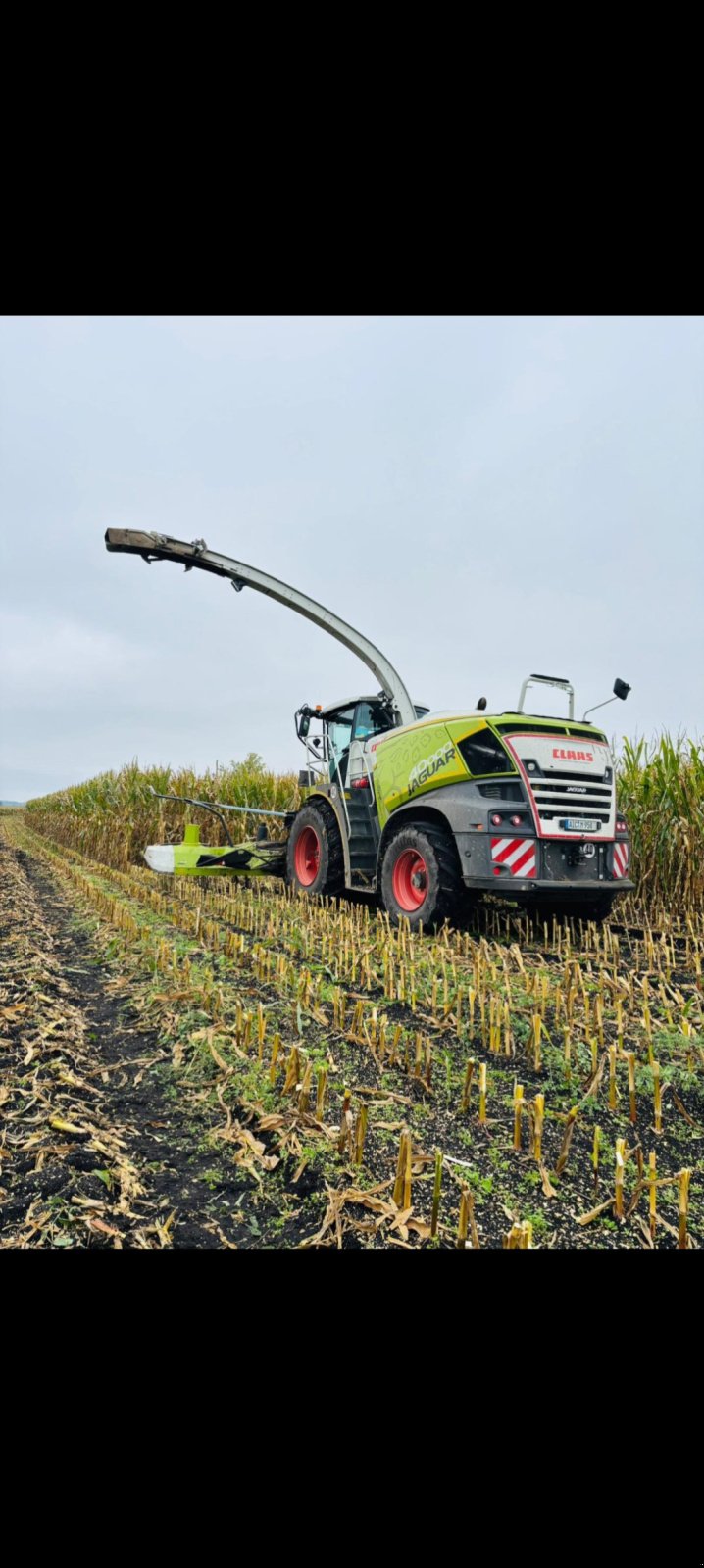 Feldhäcksler typu CLAAS Jaguar 950, Gebrauchtmaschine v Hollenbach (Obrázek 3)