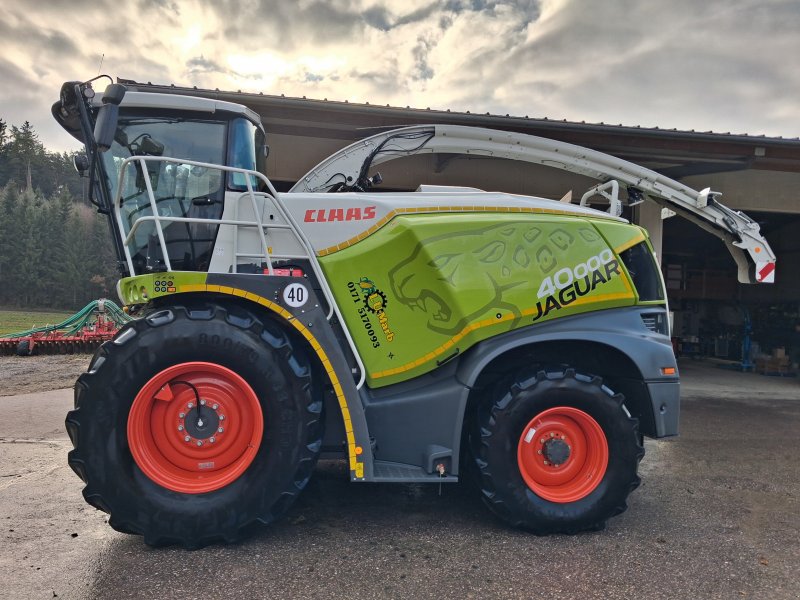 Feldhäcksler des Typs CLAAS Jaguar 950, Gebrauchtmaschine in Hollenbach (Bild 1)