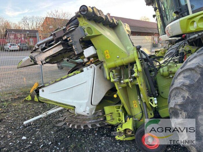 Feldhäcksler del tipo CLAAS JAGUAR 950, Gebrauchtmaschine In Melle-Wellingholzhausen (Immagine 12)