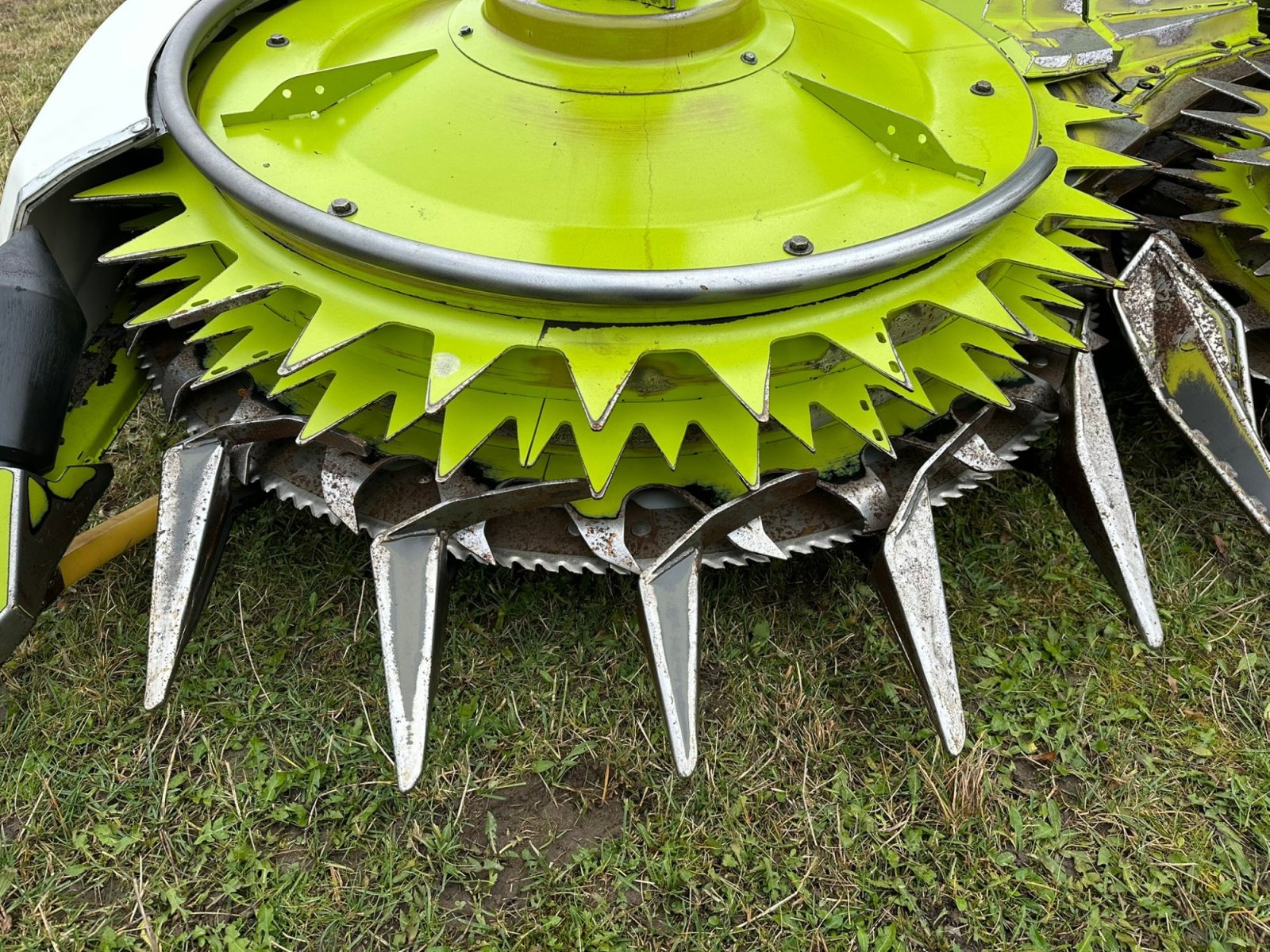 Feldhäcksler des Typs CLAAS Jaguar 950, Gebrauchtmaschine in Stadtallendorf (Bild 26)