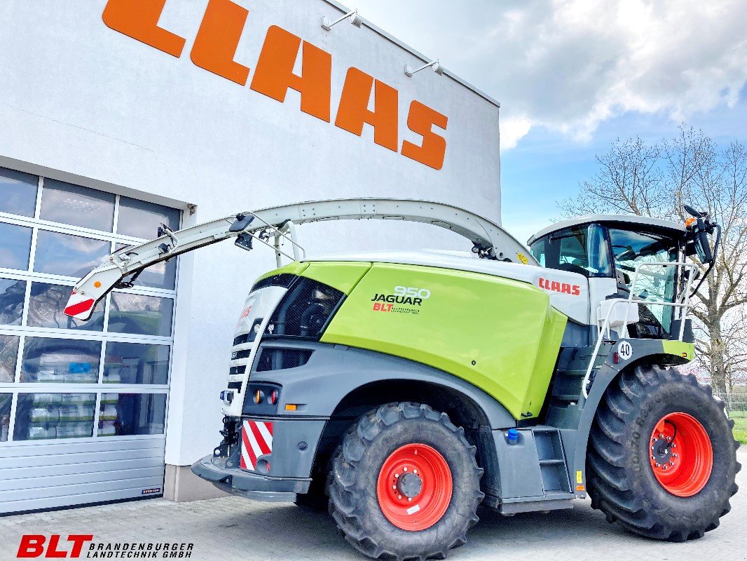 Feldhäcksler tip CLAAS Jaguar 950, Gebrauchtmaschine in Heiligengrabe OT Liebenthal (Poză 8)