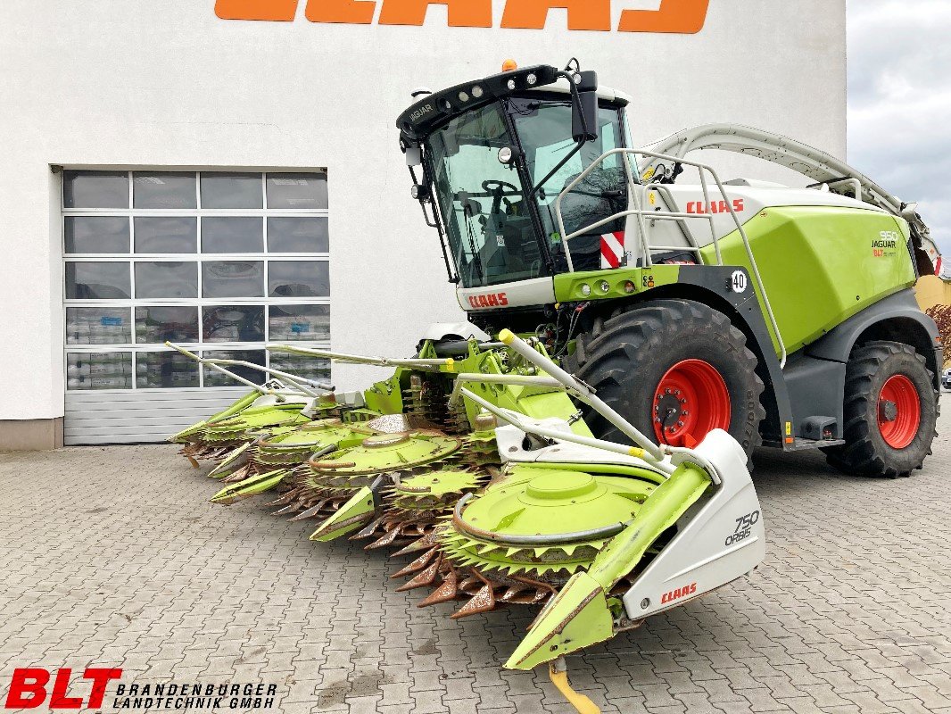 Feldhäcksler типа CLAAS Jaguar 950, Gebrauchtmaschine в Heiligengrabe OT Liebenthal (Фотография 2)