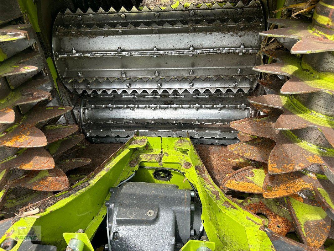 Feldhäcksler typu CLAAS Jaguar 950, Gebrauchtmaschine v Groß Munzel (Obrázek 13)