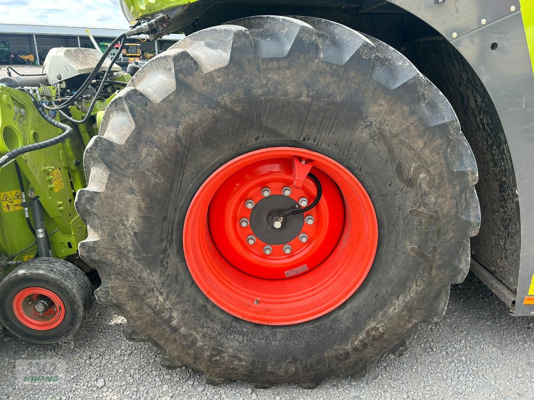 Feldhäcksler typu CLAAS Jaguar 950, Gebrauchtmaschine v Groß Munzel (Obrázek 15)