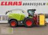 Feldhäcksler des Typs CLAAS JAGUAR 950, Gebrauchtmaschine in Bordesholm (Bild 1)