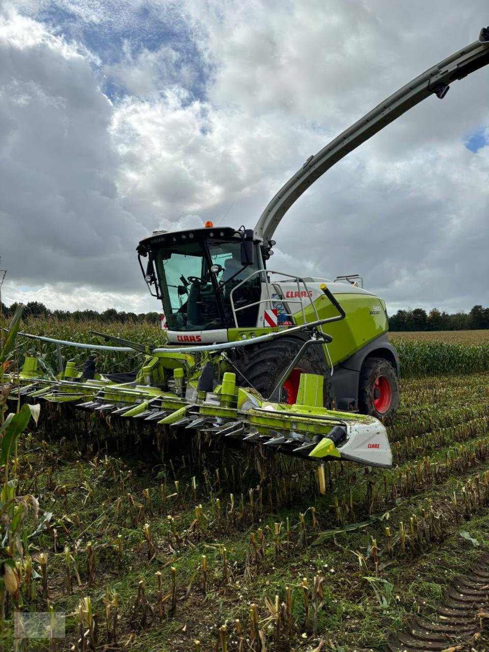 Feldhäcksler tip CLAAS Jaguar 960 + Orbis 900 + PU, Gebrauchtmaschine in Pragsdorf (Poză 1)