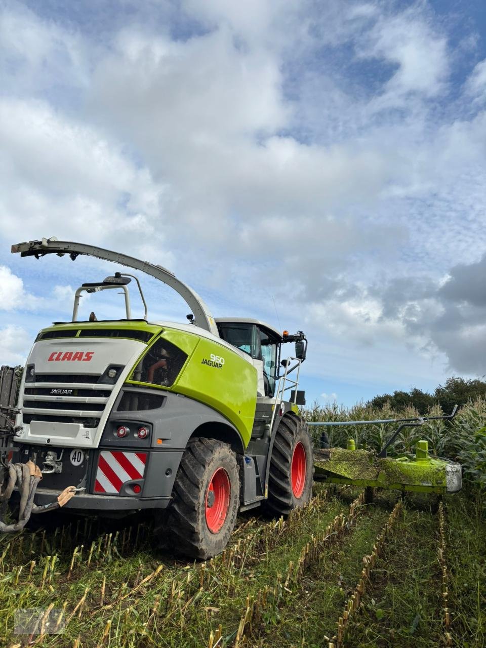 Feldhäcksler tip CLAAS Jaguar 960 + Orbis 900 + PU, Gebrauchtmaschine in Pragsdorf (Poză 2)