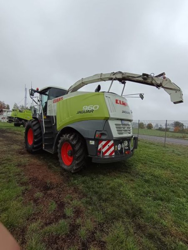 Feldhäcksler des Typs CLAAS JAGUAR 960, Gebrauchtmaschine in Plessa (Bild 2)