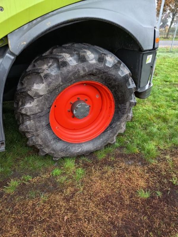 Feldhäcksler des Typs CLAAS JAGUAR 960, Gebrauchtmaschine in Plessa (Bild 5)