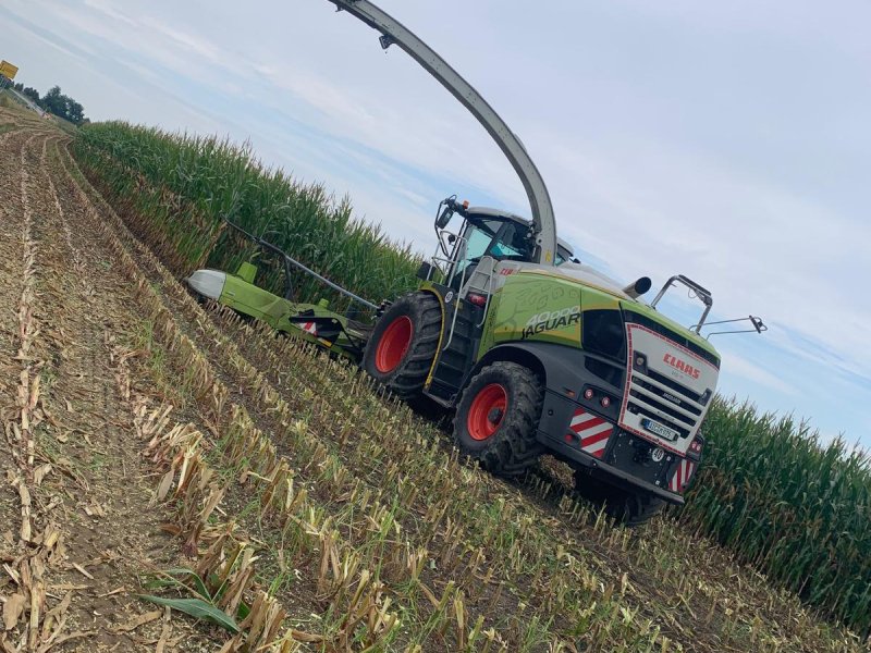 Feldhäcksler des Typs CLAAS Jaguar 970, Gebrauchtmaschine in Hollenbach (Bild 1)