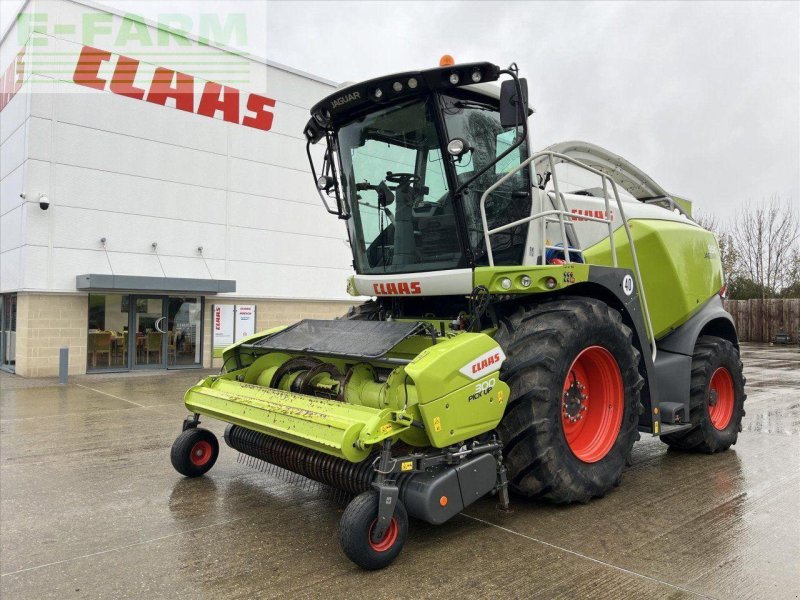 Feldhäcksler of the type CLAAS USED 2021 JAGUAR 990, Gebrauchtmaschine in SUFFOLK (Picture 1)