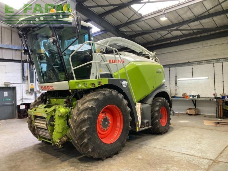 Feldhäcksler a típus CLAAS USED 2023 JAGUAR 990, Gebrauchtmaschine ekkor: CIRENCESTER (Kép 1)