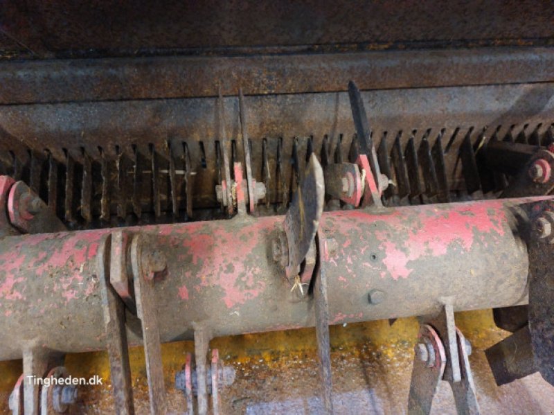 Feldhäcksler des Typs Massey Ferguson 32, Gebrauchtmaschine in Hemmet (Bild 19)