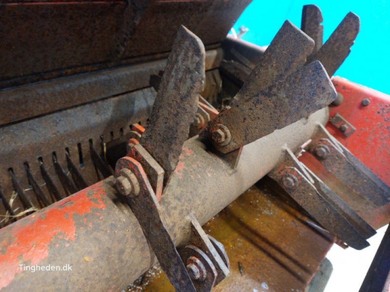 Feldhäcksler des Typs Massey Ferguson 32, Gebrauchtmaschine in Hemmet (Bild 18)