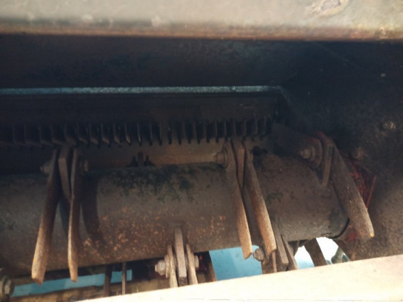 Feldhäcksler des Typs Massey Ferguson 40, Gebrauchtmaschine in Hemmet (Bild 9)