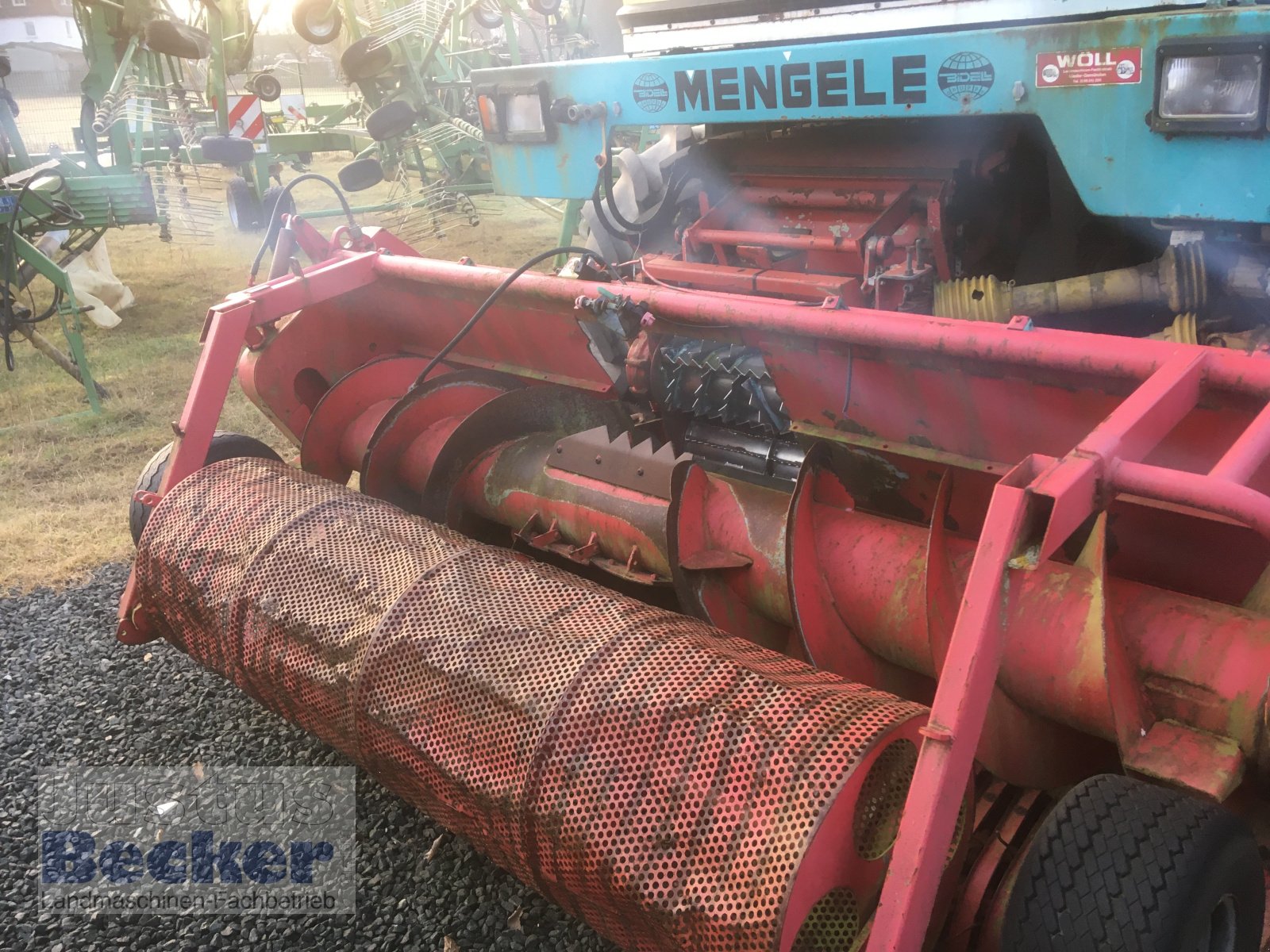 Feldhäcksler tip Mengele Mammut 6300, Gebrauchtmaschine in Weimar-Niederwalgern (Poză 5)