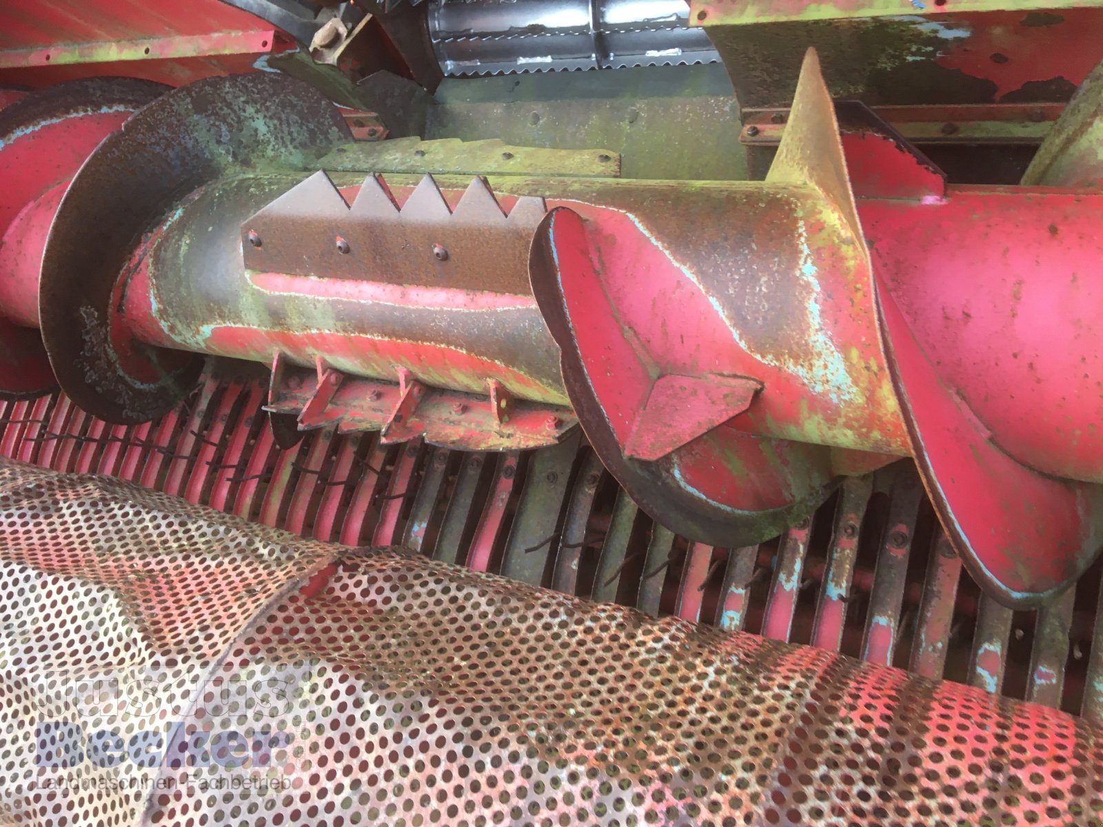 Feldhäcksler tip Mengele Mammut 6300, Gebrauchtmaschine in Weimar-Niederwalgern (Poză 13)