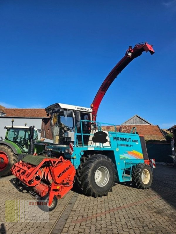 Feldhäcksler tip Mengele Mammut 6800 inkl. PickUp, Gebrauchtmaschine in Cham (Poză 1)
