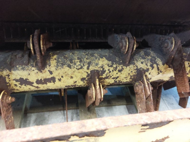 Feldhäcksler des Typs New Holland 8080 Rekord, Gebrauchtmaschine in Hemmet (Bild 4)