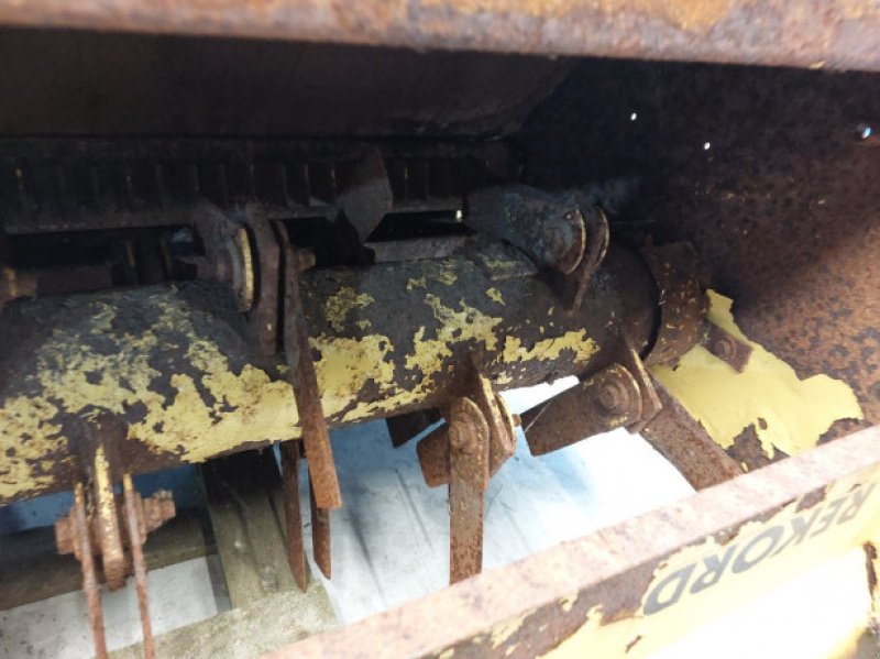 Feldhäcksler des Typs New Holland 8080 Rekord, Gebrauchtmaschine in Hemmet (Bild 5)