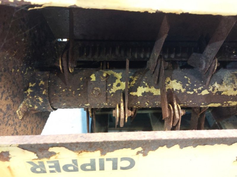 Feldhäcksler des Typs New Holland 8080 Rekord, Gebrauchtmaschine in Hemmet (Bild 3)