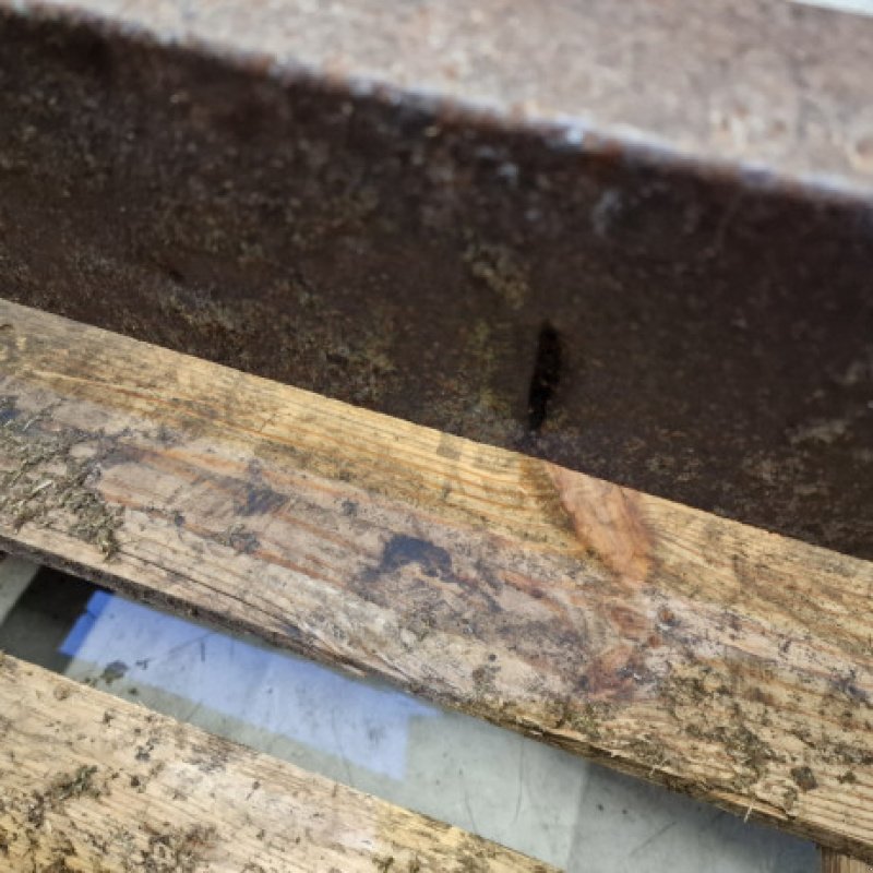 Feldhäcksler typu New Holland 8080, Gebrauchtmaschine v Hemmet (Obrázek 14)