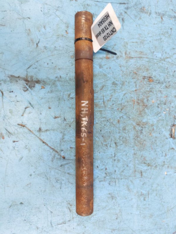 Feldhäcksler typu New Holland TX65, Gebrauchtmaschine v Hemmet (Obrázek 2)