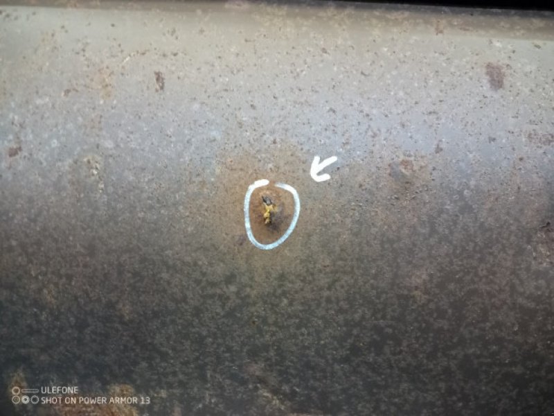 Feldhäcksler του τύπου Sonstige 7000, Gebrauchtmaschine σε Hemmet (Φωτογραφία 14)