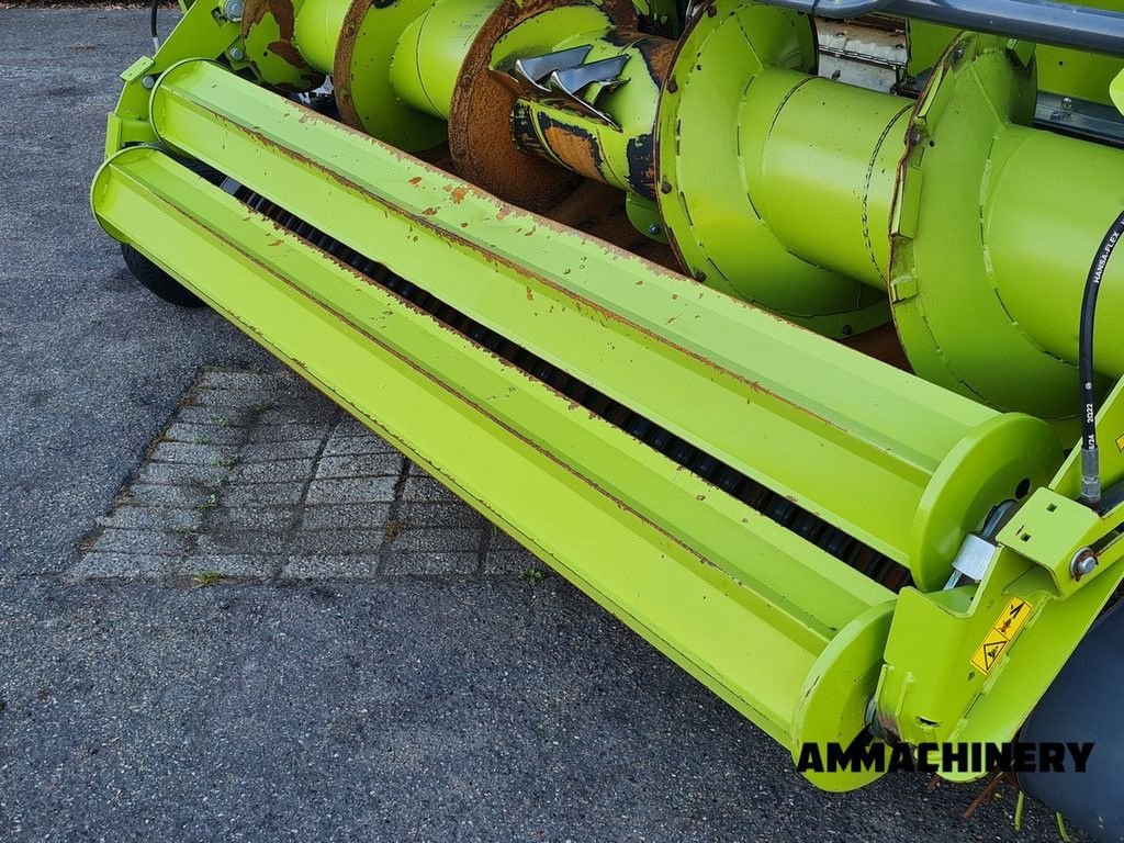 Feldhäcksler tip Sonstige Claas PU300 I36 pick-up, Gebrauchtmaschine in Horst (Poză 9)