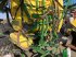 Feldspritze del tipo John Deere 412, Gebrauchtmaschine In Emskirchen (Immagine 3)