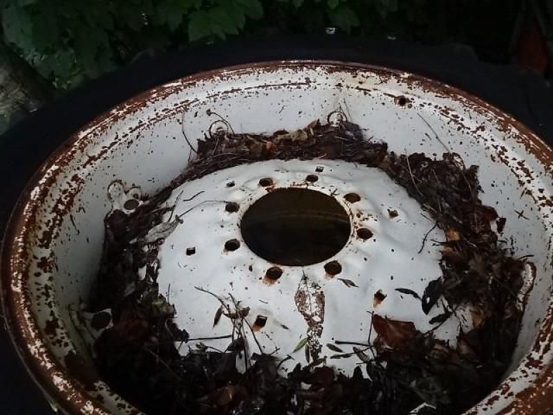 Felge Türe ait Case IH Felge 11 x 36- 8 Lochfelge- war auf IH Traktor, Gebrauchtmaschine içinde Neureichenau (resim 3)