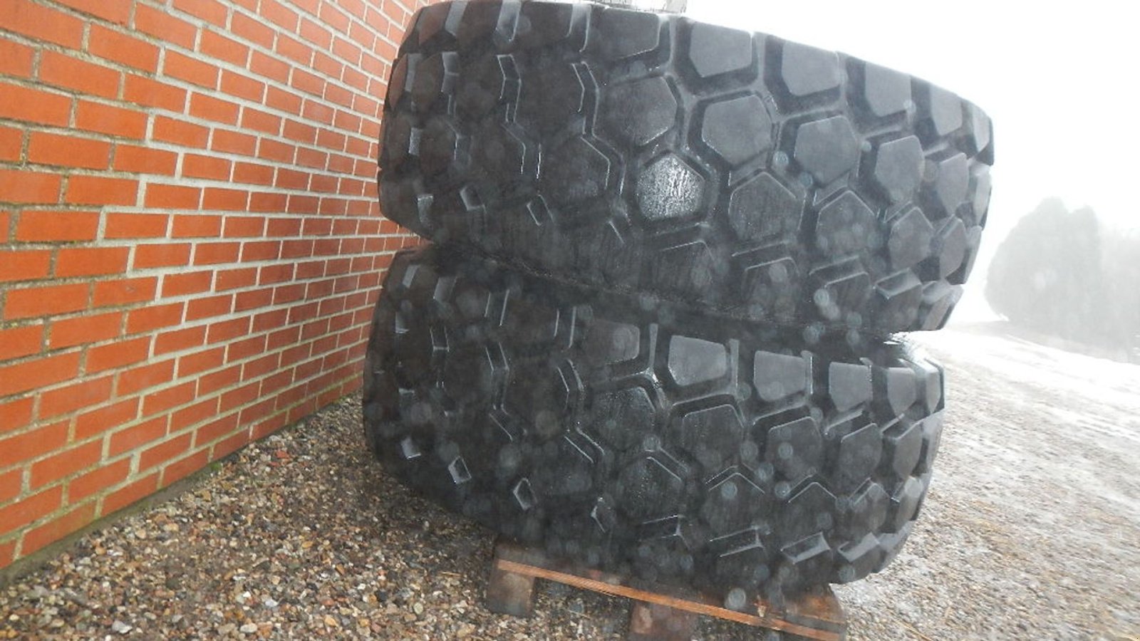 Felge a típus Continental 23.5R25 ContiEarth, Gebrauchtmaschine ekkor: Aabenraa (Kép 5)