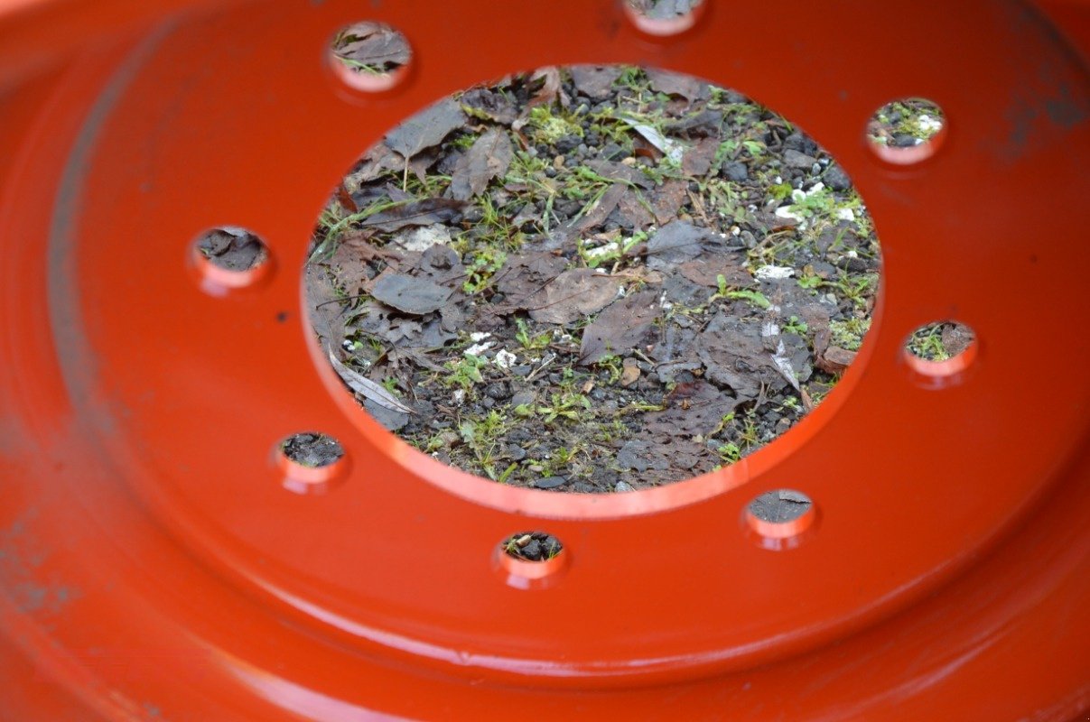 Felge типа Sonstige 16x24, Gebrauchtmaschine в Suhlendorf (Фотография 6)