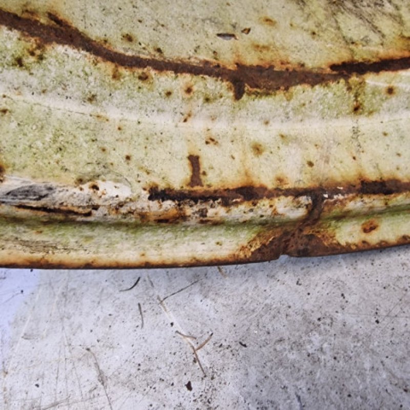 Felge typu Sonstige 28"   15x28, Gebrauchtmaschine v Hemmet (Obrázek 3)