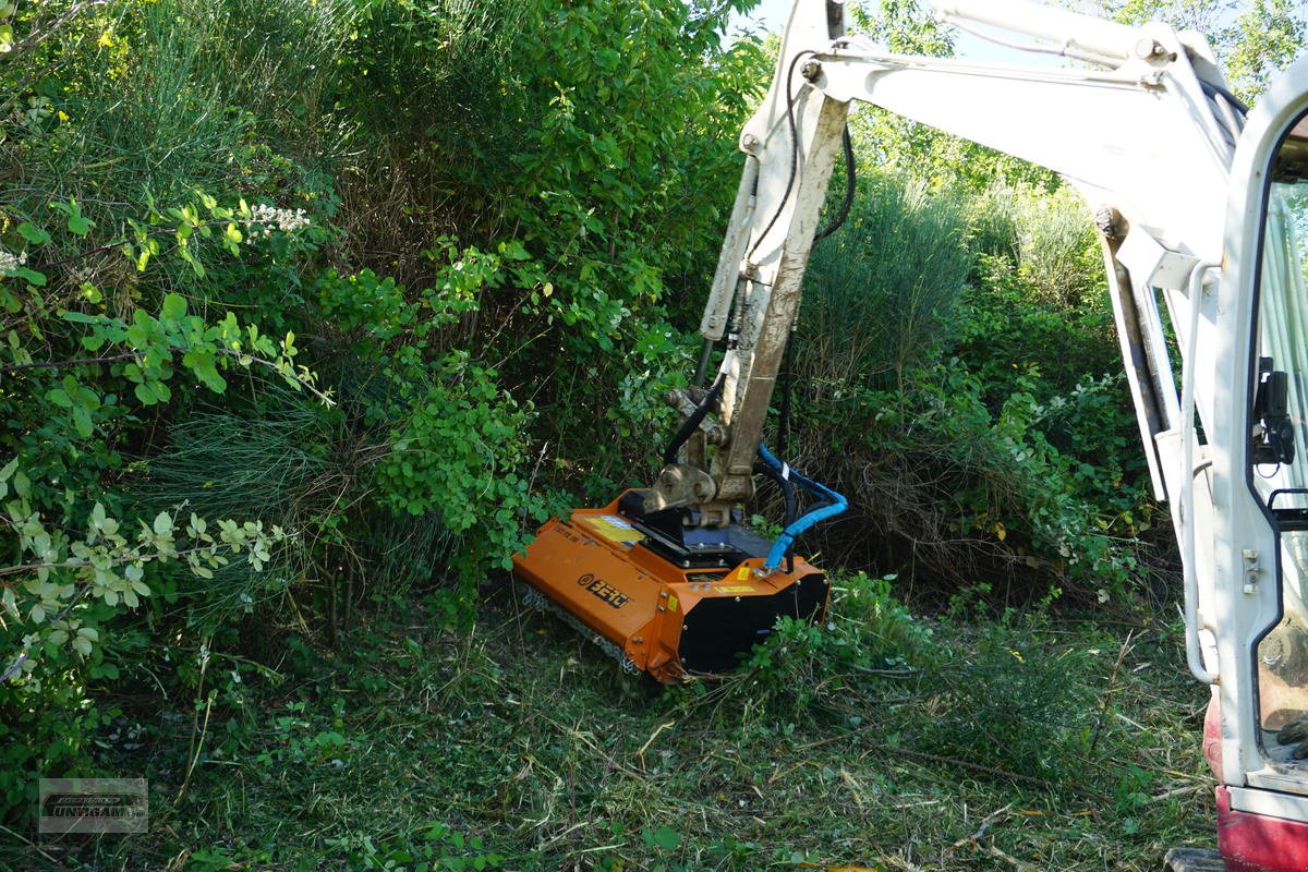 Forstfräse & Forstmulcher des Typs Berti CKT/FX 100, Neumaschine in Deutsch - Goritz (Bild 5)