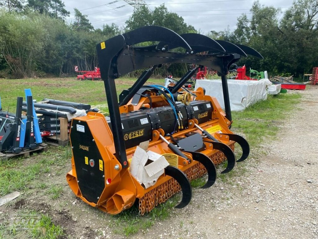 Forstfräse & Forstmulcher του τύπου Berti EFX/DT 250, Gebrauchtmaschine σε Schwabach Wolkersdorf (Φωτογραφία 1)