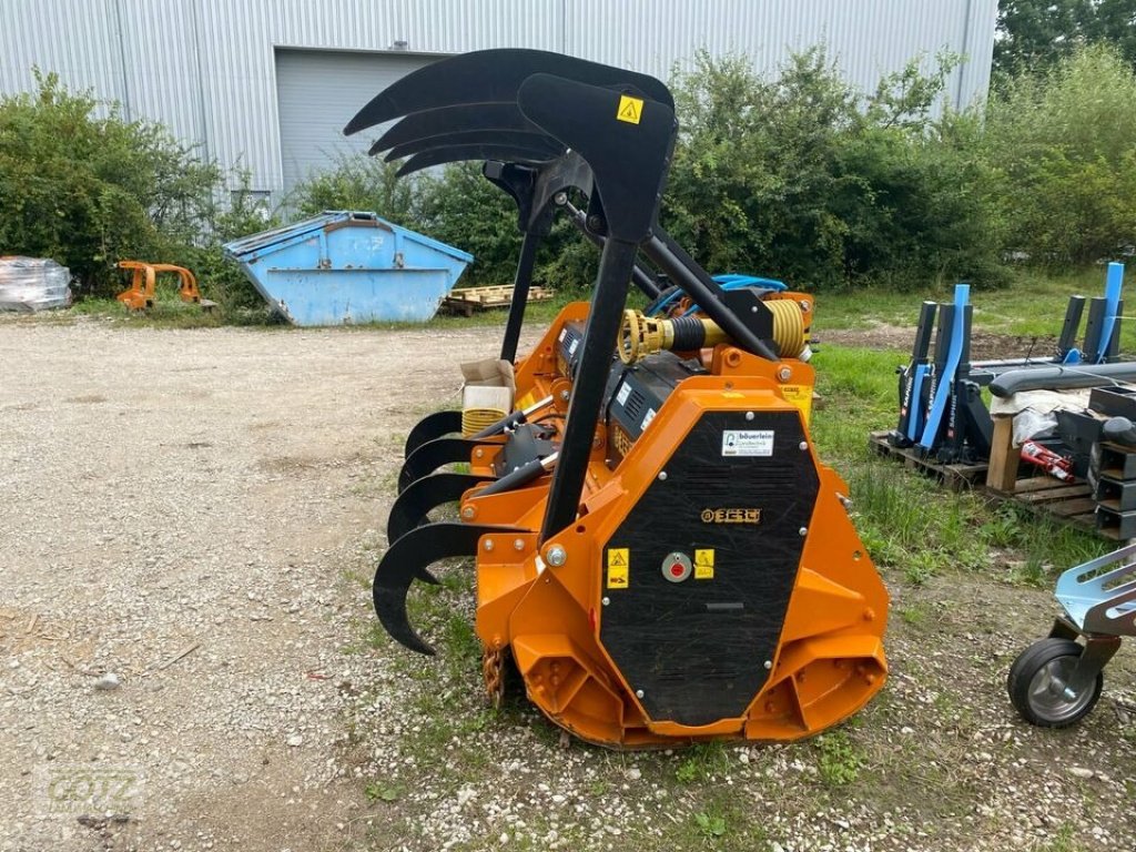 Forstfräse & Forstmulcher του τύπου Berti EFX/DT 250, Gebrauchtmaschine σε Schwabach Wolkersdorf (Φωτογραφία 4)