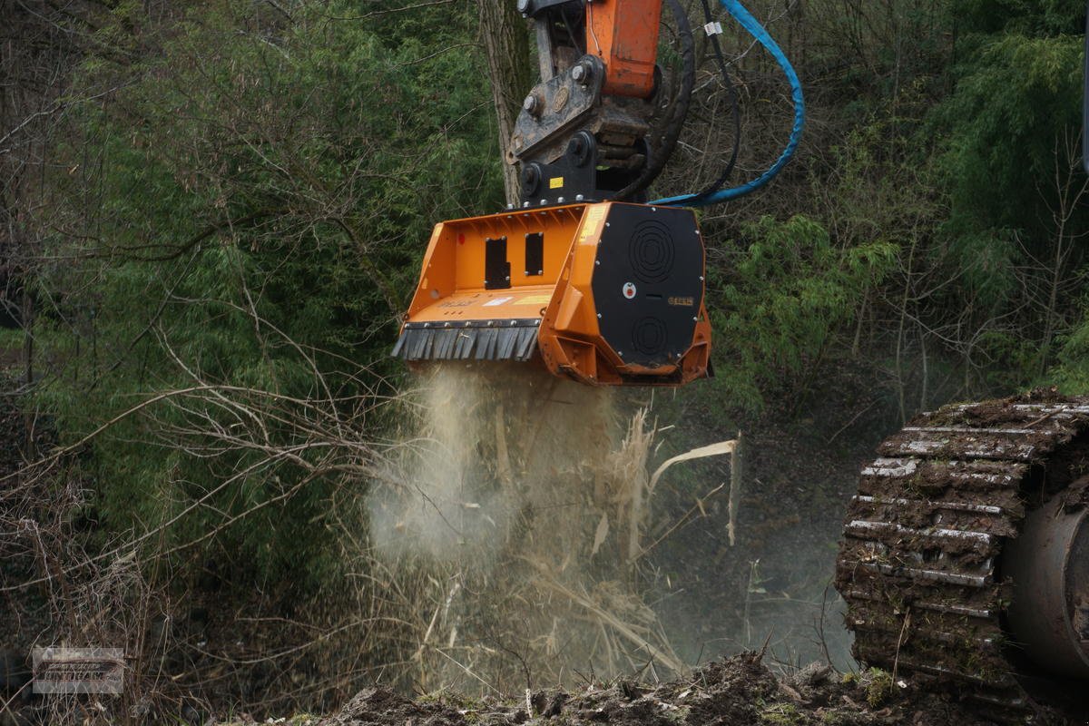 Forstfräse & Forstmulcher типа Berti EFX MD/SB 120, Neumaschine в Deutsch - Goritz (Фотография 5)