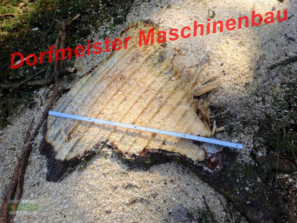 Forstfräse & Forstmulcher typu Dorfmeister FM-1250-light, Neumaschine w Roßbach (Zdjęcie 12)