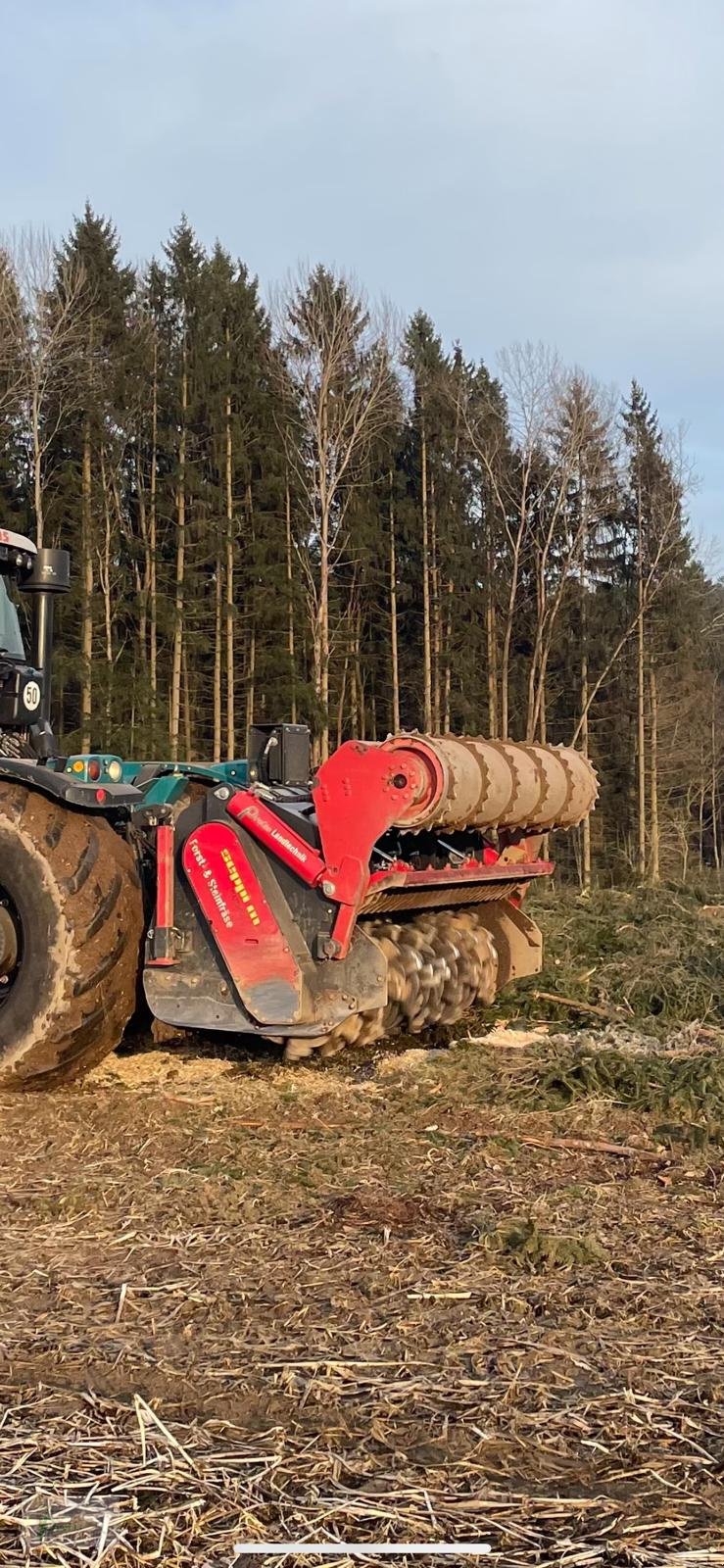 Forstfräse & Forstmulcher des Typs Seppi MAXISOIL, Gebrauchtmaschine in Bad Kötzting (Bild 3)
