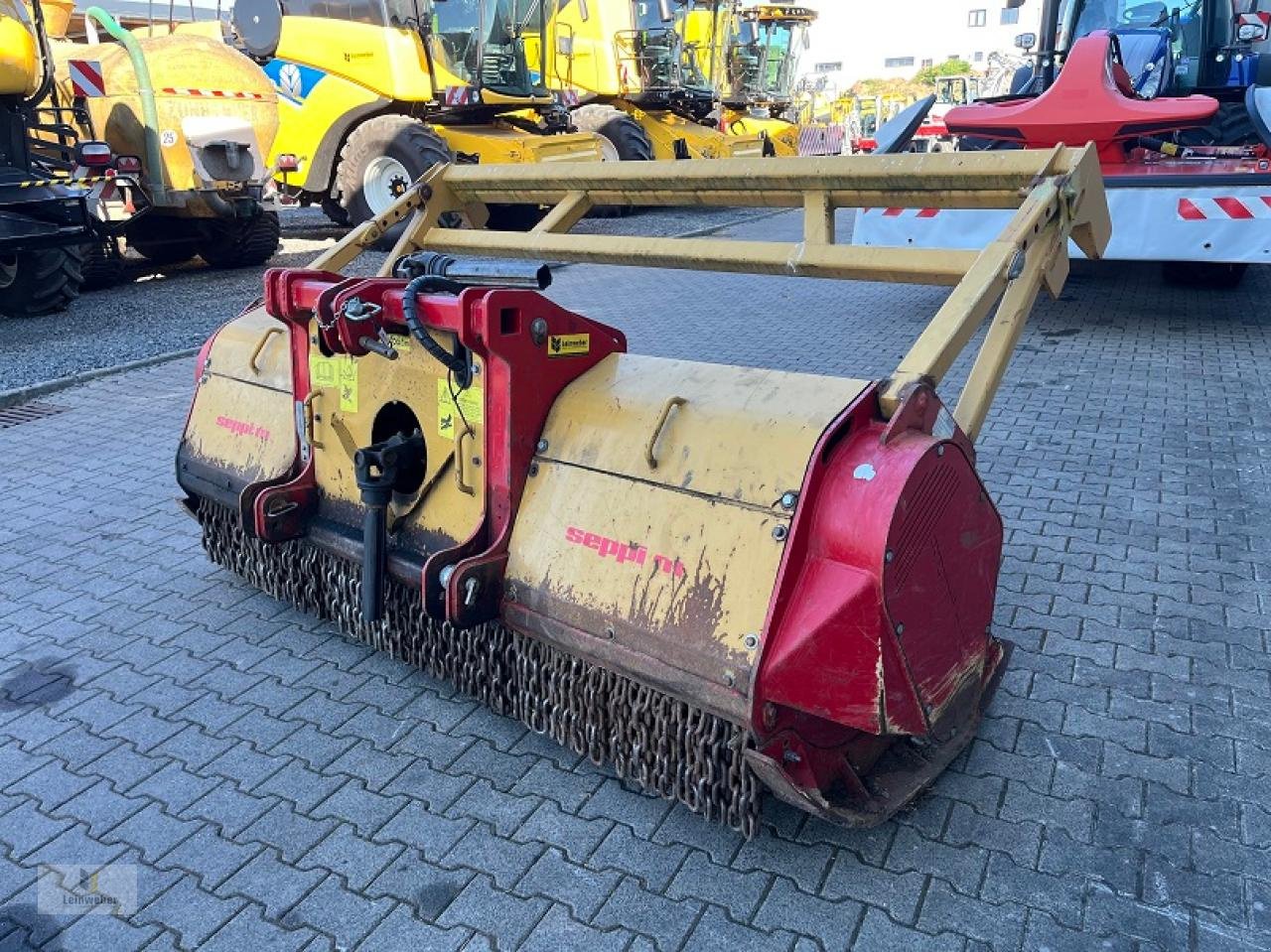 Forstfräse & Forstmulcher typu Seppi Midiforst DT 250, Gebrauchtmaschine v Neuhof - Dorfborn (Obrázek 2)