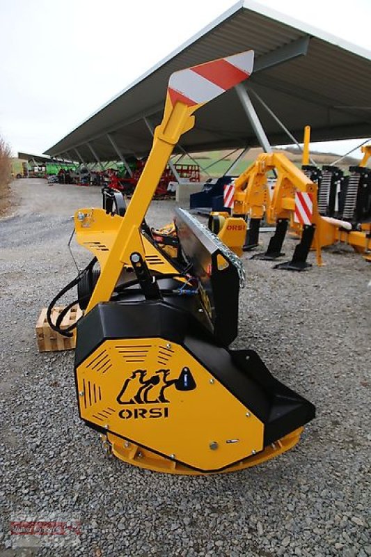 Forstfräse & Forstmulcher des Typs Sonstige Orsi Bears Forrest 255 Forstmulcher, Neumaschine in Ostheim/Rhön (Bild 4)