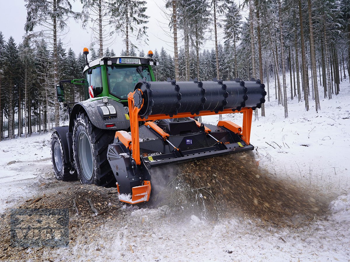 Forstfräse & Forstmulcher tip TMC Cancela MPK-250 Forstfräse /Rodungsfräse für Traktor-***Aktionsangebot***, Neumaschine in Schmallenberg (Poză 15)