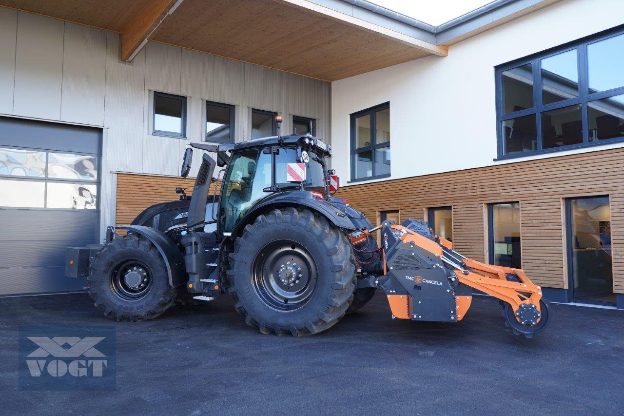 Forstfräse & Forstmulcher des Typs TMC Cancela MPK-250 Forstfräse /Rodungsfräse für Traktor-***Aktionsangebot***, Neumaschine in Schmallenberg (Bild 3)