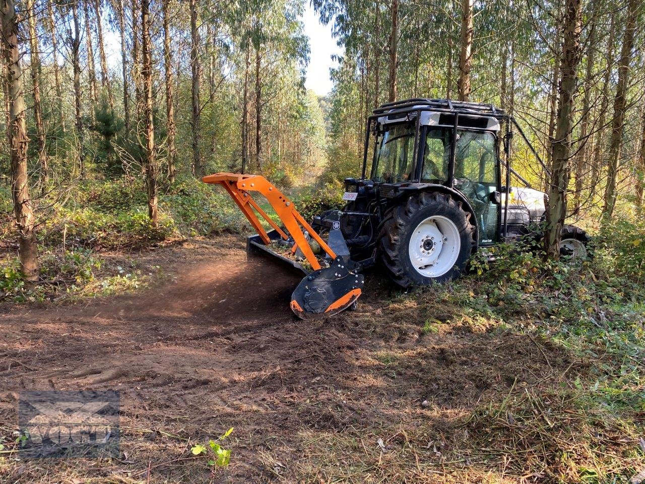 Forstfräse & Forstmulcher des Typs TMC Cancela TFJ-150 Forstmulcher /Mulcher für Traktor-Aktionsangebot, Neumaschine in Schmallenberg (Bild 4)